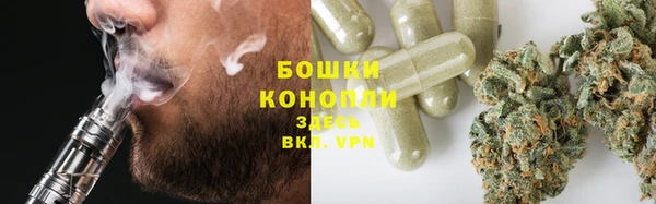 шишки Протвино