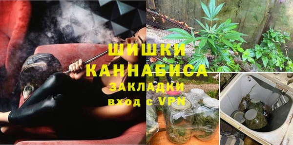 шишки Протвино