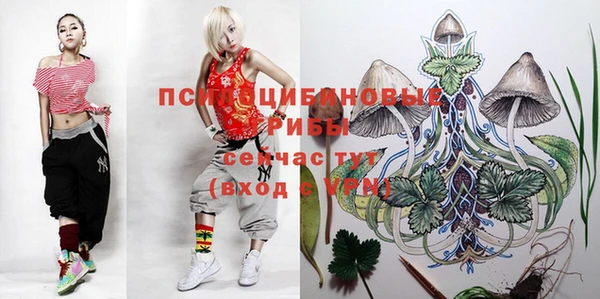 каннабис Алексеевка