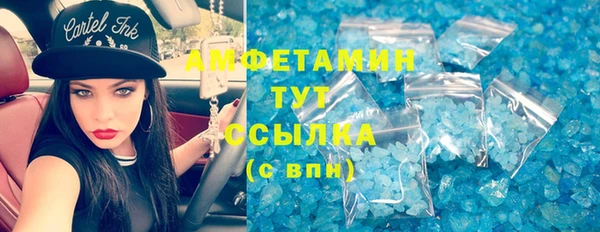 индика Алзамай