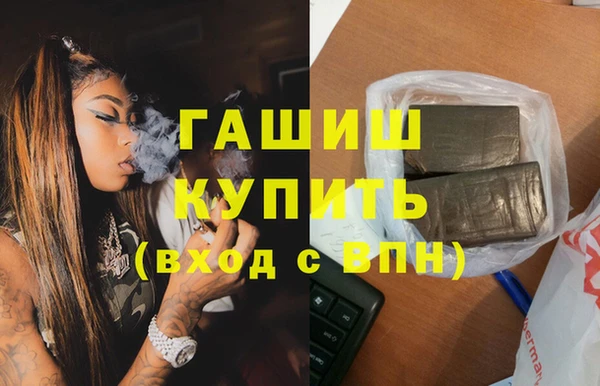 индика Алзамай