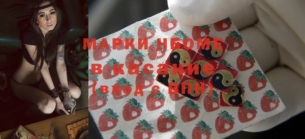индика Алзамай