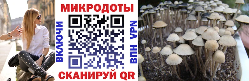Галлюциногенные грибы мицелий Бежецк